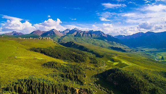 生態(tài)產品價值實現(xiàn)的機制與路徑探討