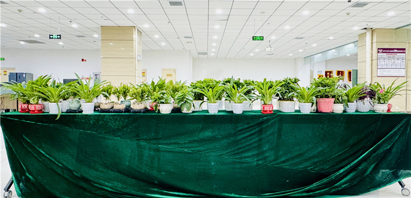 微信圖片_20250108180215_副本.jpg 微信圖片_20250108180215_副本.jpg